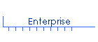 Enterprise