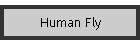 Human Fly