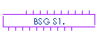 BSG S1.