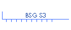 BSG S3