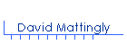 David Mattingly