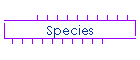 Species